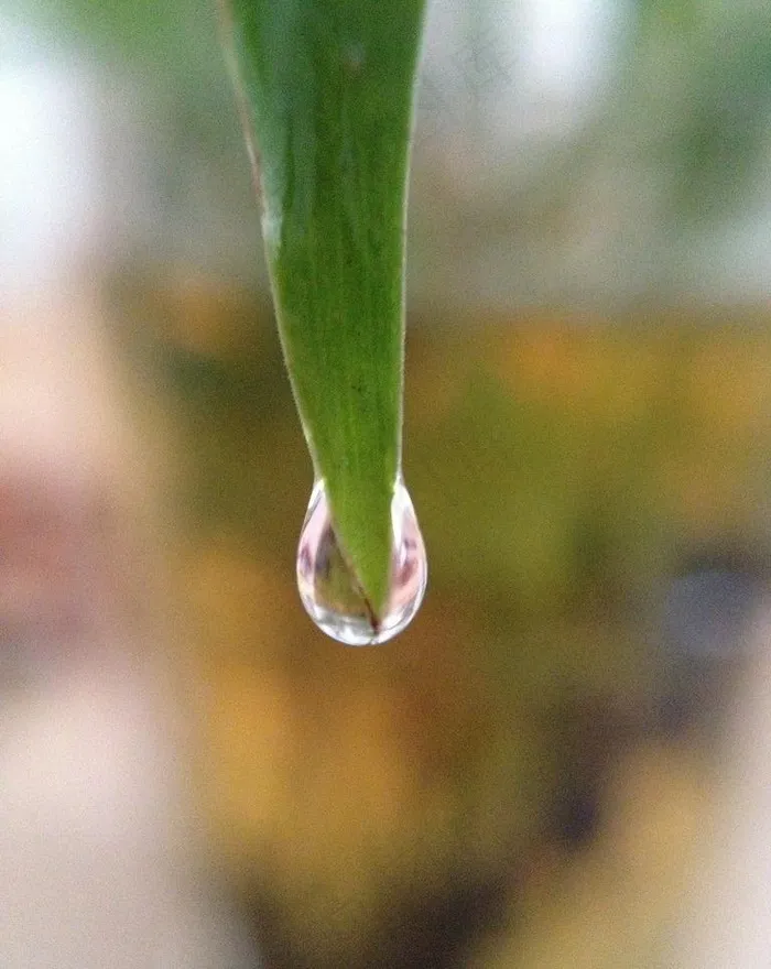水滴图片