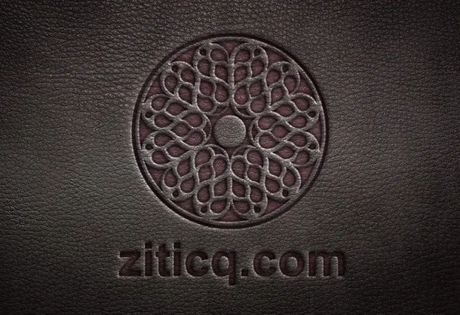 皮革LOGO效果品牌VI模板psd模版下载