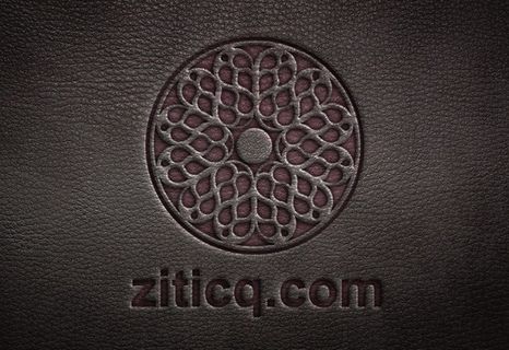 皮革LOGO效果品牌VI模板