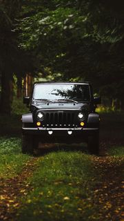 树林中的黑色越野车高清摄影图片