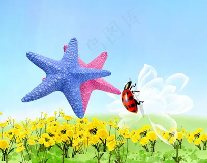 花丛中的海星和甲壳虫