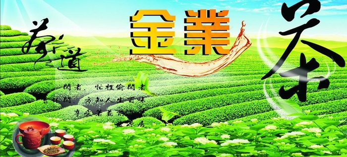 茶叶广告图片cdr矢量模版下载