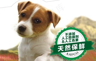 可爱小狗狗粮天然保鲜