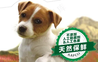 可爱小狗狗粮天然保鲜