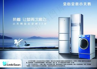 小天鹅冰空洗鹅天鹅湖海报图片