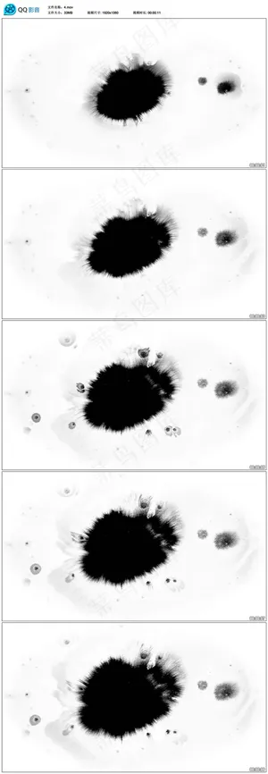 中国风水墨滴墨效果高清视频素材