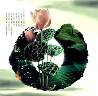 水墨荷花图片