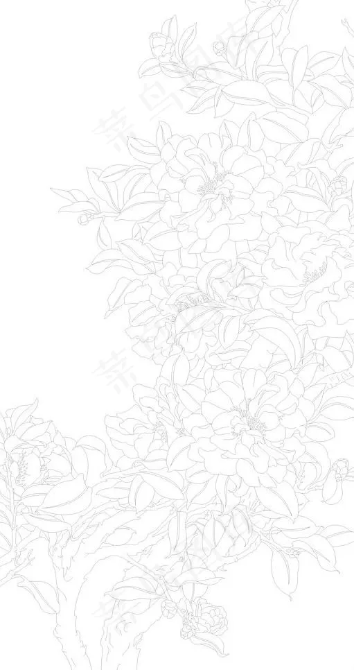 茶花树图片