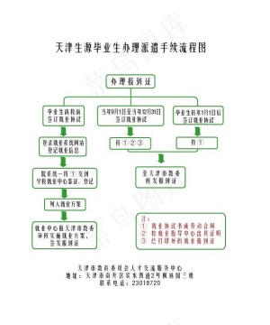 大学生毕业派遣流程图图片