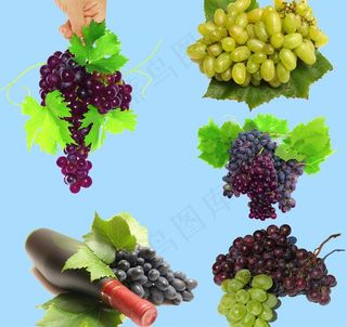 葡萄图片