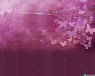 好看的蝴蝶桌面壁纸