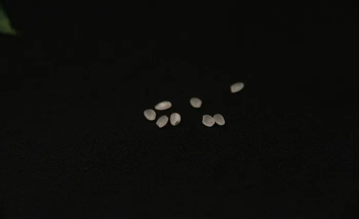 8粒米图片