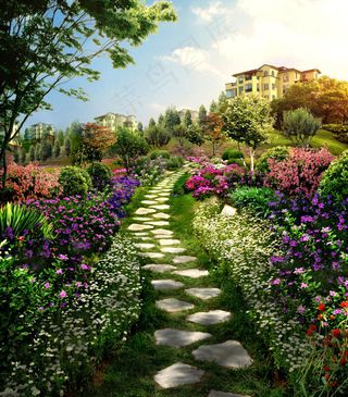 长满鲜花的小路
