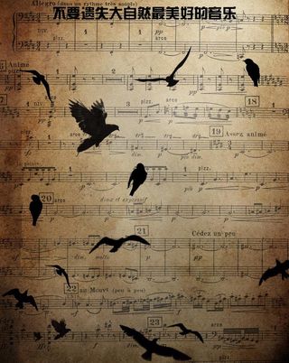 保护动物海报图片