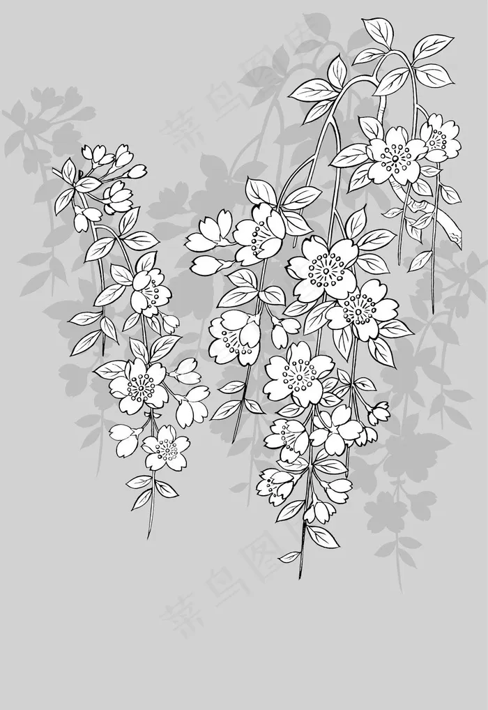 日本线描植物花卉矢量素材-43（樱...eps,ai矢量模版下载