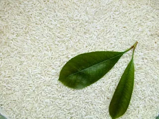 端午节糯米素材图片