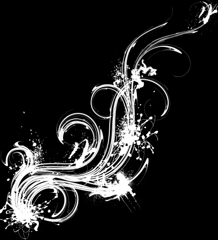 白色花藤视频展示