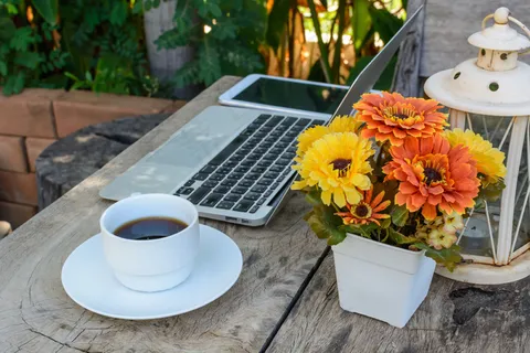 植物盆栽和笔记本 植物盆栽和笔记本