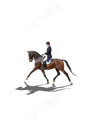 伯乐寻找千里马招聘海报设计