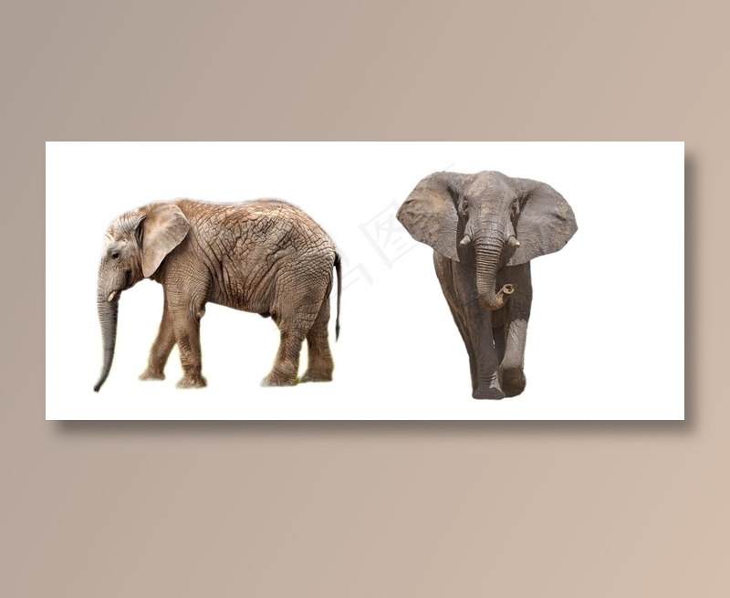 大象免抠素材PSD分层