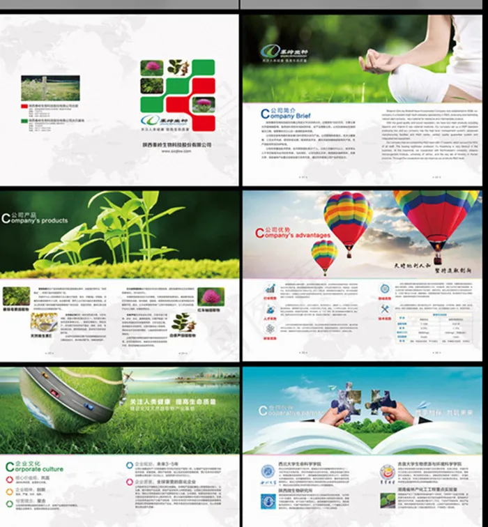 简洁画册设计psd模版下载