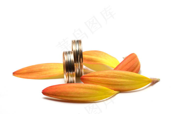 结婚戒指与花瓣图片