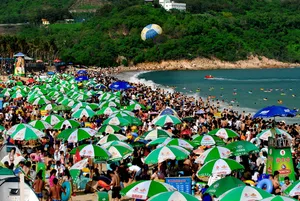夏日海滩图片