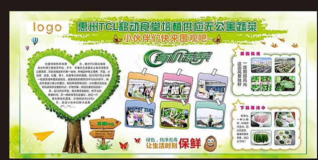 无公害疏菜板报图片