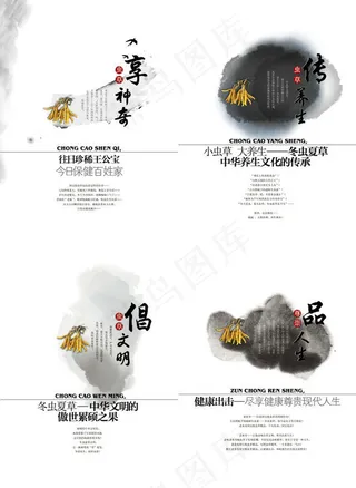 虫草养生画册PSD素材