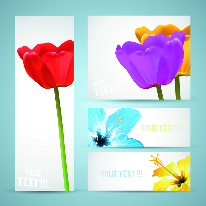 鲜花banner02—矢量素材