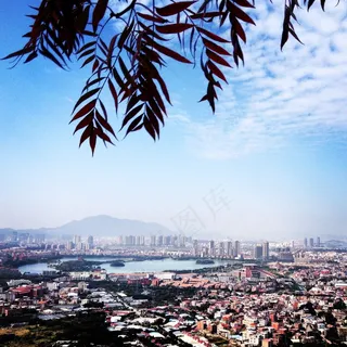 远眺泉州市区图片