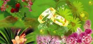 温馨模板 花花世界图片