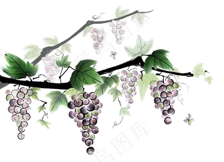 淘宝天猫葡萄熟了葡萄海报装饰PNG...