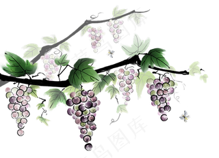 淘宝天猫葡萄熟了葡萄海报装饰PNG...