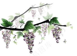 淘宝天猫葡萄熟了葡萄海报装饰PNG...