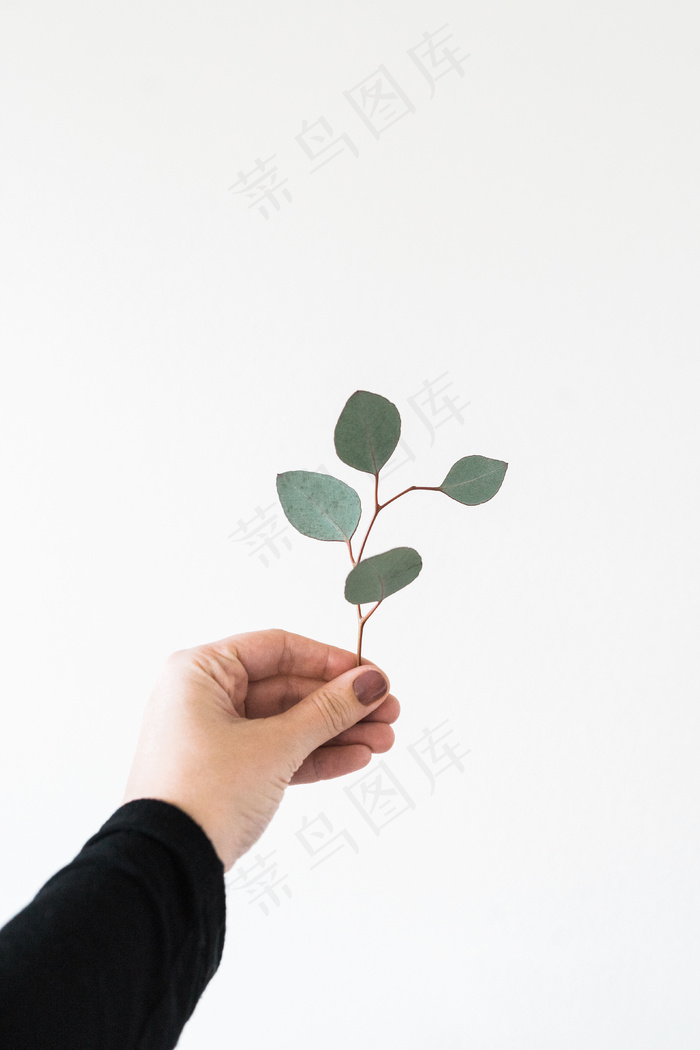简约小清新文艺风插花静物摆拍背景
