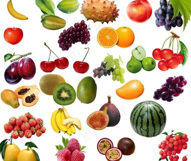 水果大全 各种水果图片