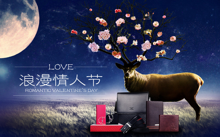 浪漫情人节美丽星空花朵