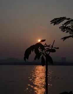 夕阳剪影图片 夕阳剪影图片