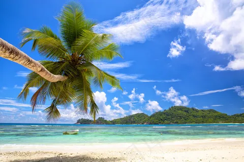 椰树与沙滩风景 椰树与沙滩风景