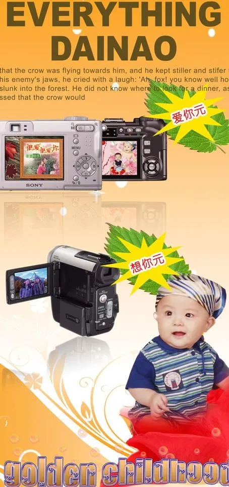 相机广告图片(2835X5669(DPI:90))psd模版下载
