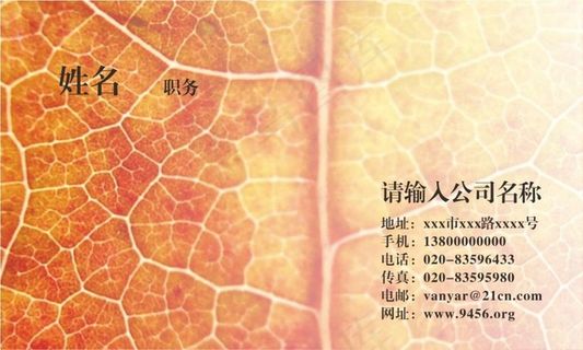 树叶纹路名片