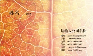 树叶纹路名片