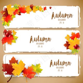 花纹边框底纹背景