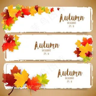 花纹边框底纹背景