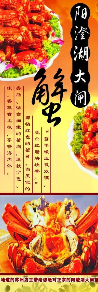 大闸蟹x展架图片cdr矢量模版下载