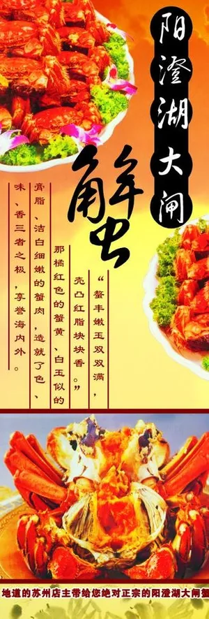 大闸蟹x展架图片