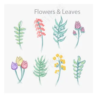 手绘效果花朵植物