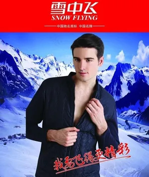 雪中飞图片