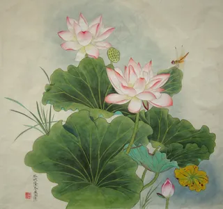 吴玉阳工笔画荷花蜻蜓图片